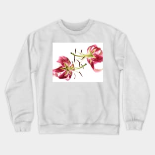 Lily Crewneck Sweatshirt